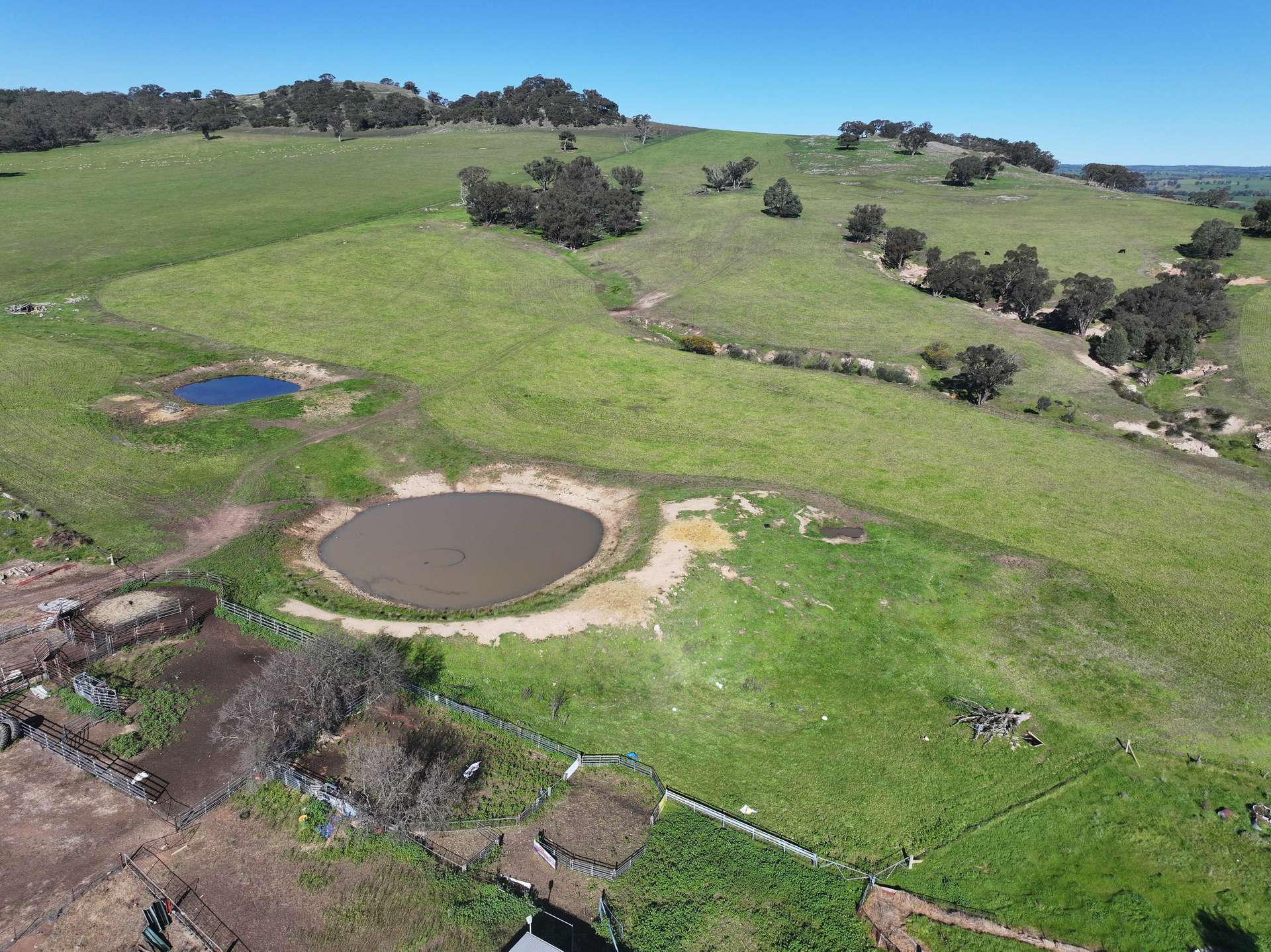 'Yeronga' Piersons Road, Mangoplah For Sale by Farmbuy.com - image 13