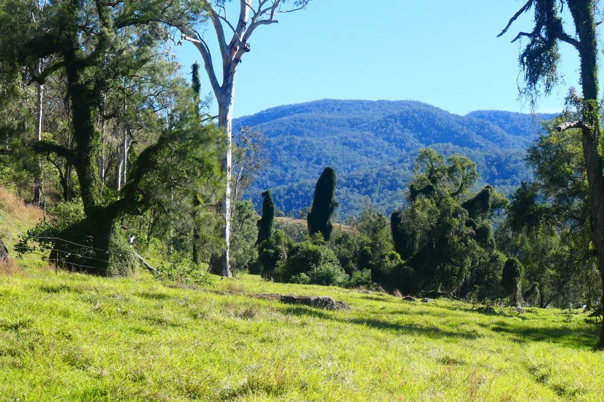 Lot 13,  Rocky River Road, Rocky River Sold by Farmbuy.com - image 28