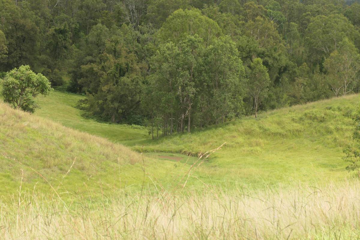 Lot 13,  Rocky River Road, Rocky River Sold by Farmbuy.com - image 12