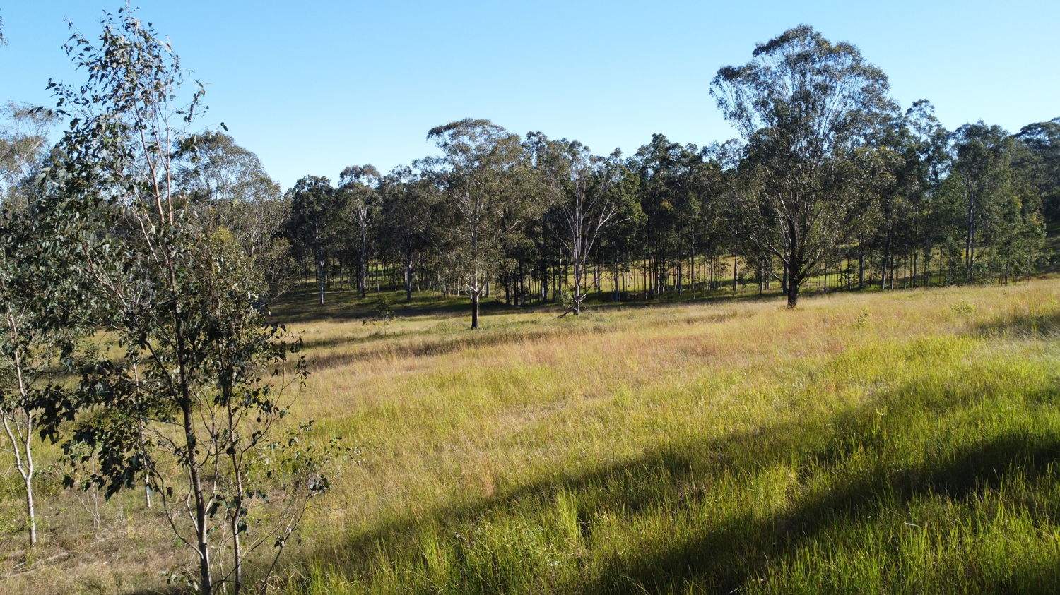 169 Busby's Flat Road, Leeville For Sale by Farmbuy.com - image 25