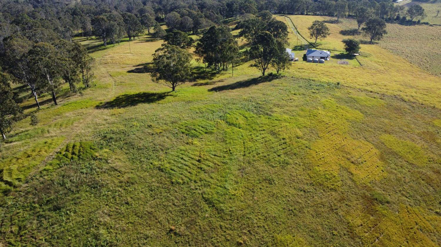 169 Busby's Flat Road, Leeville For Sale by Farmbuy.com - image 17