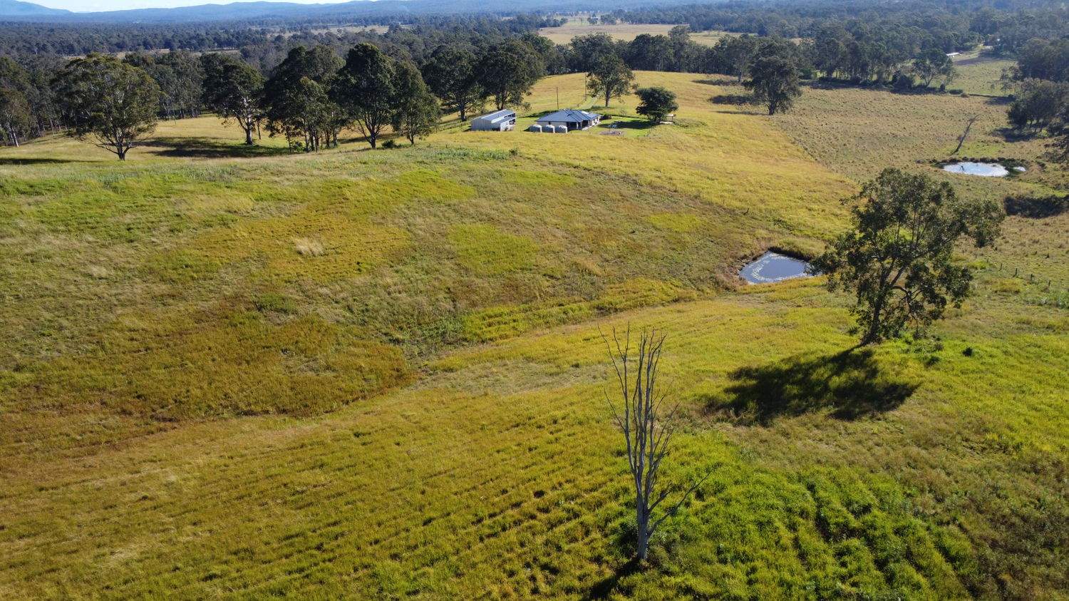 169 Busby's Flat Road, Leeville For Sale by Farmbuy.com - image 26