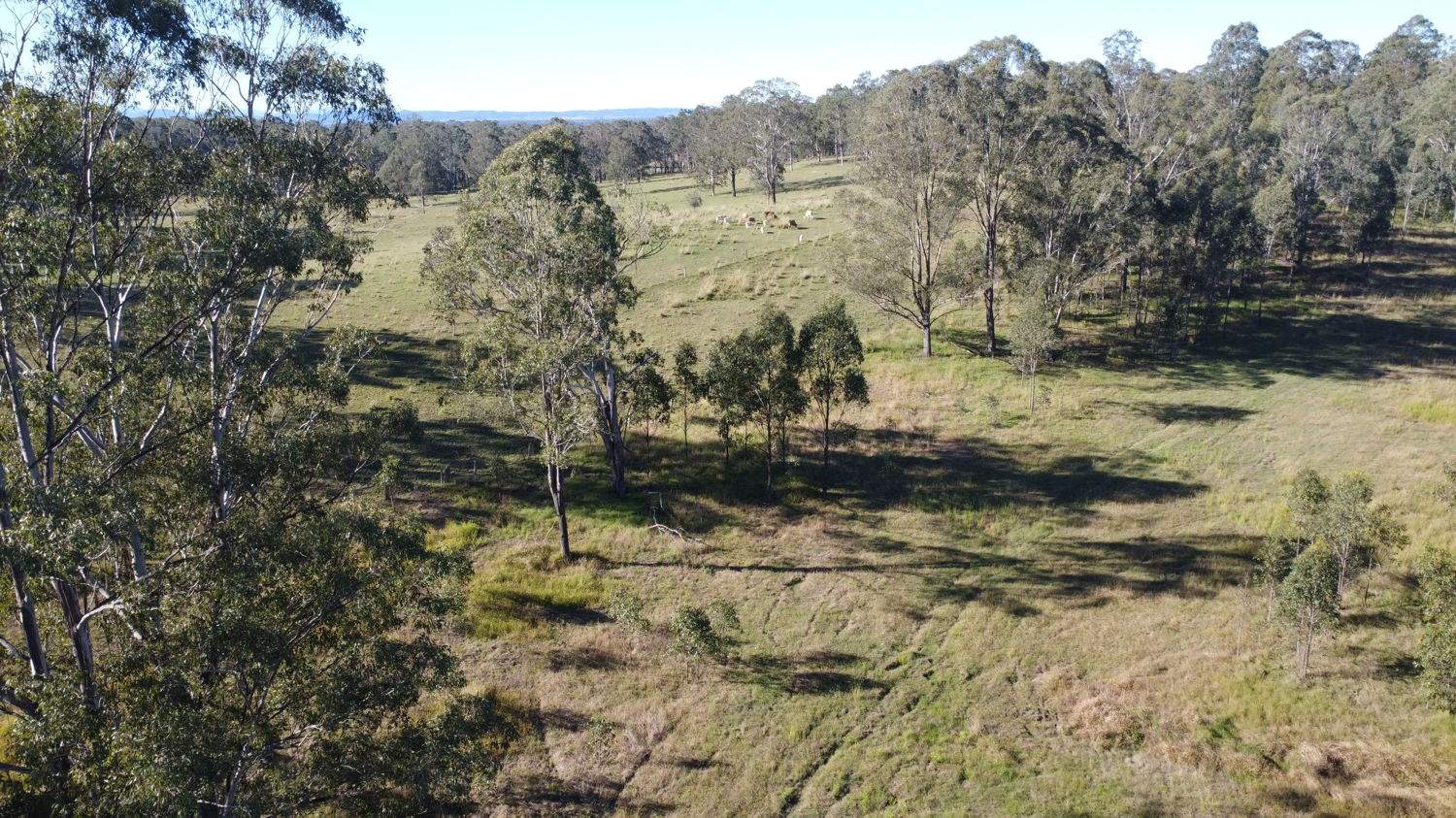 169 Busby's Flat Road, Leeville For Sale by Farmbuy.com - image 24