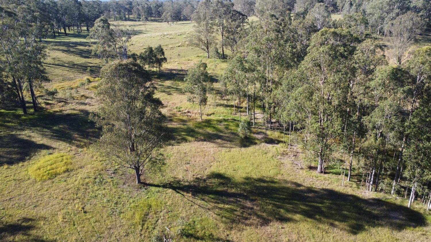 169 Busby's Flat Road, Leeville For Sale by Farmbuy.com - image 22