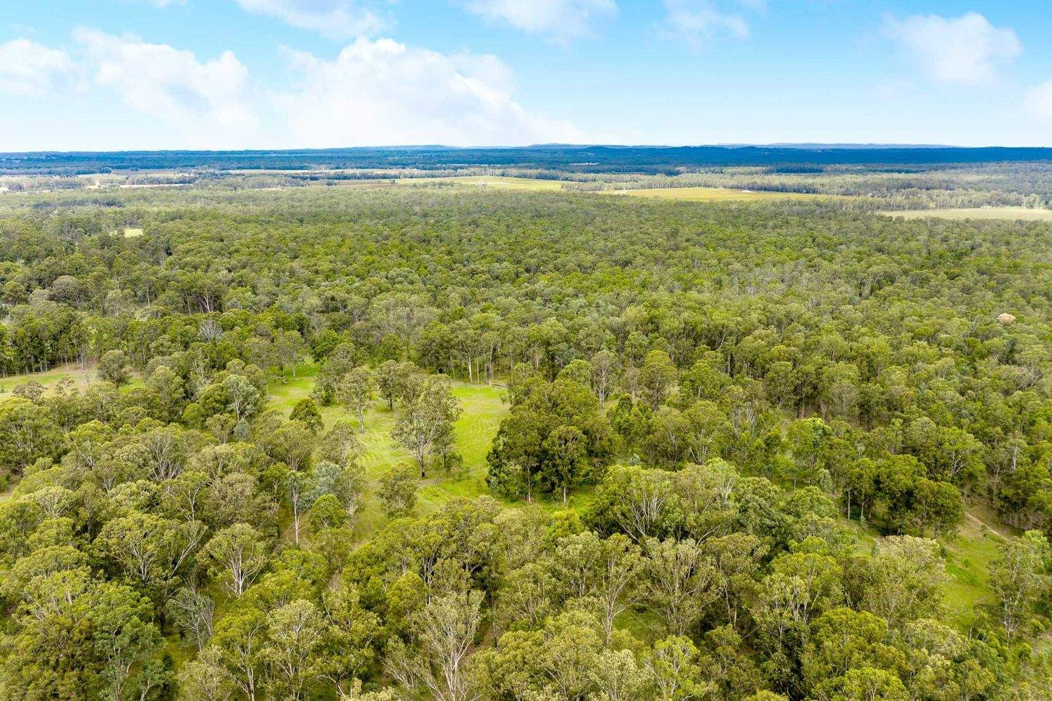 169 Busby's Flat Road, Leeville For Sale by Farmbuy.com - image 18