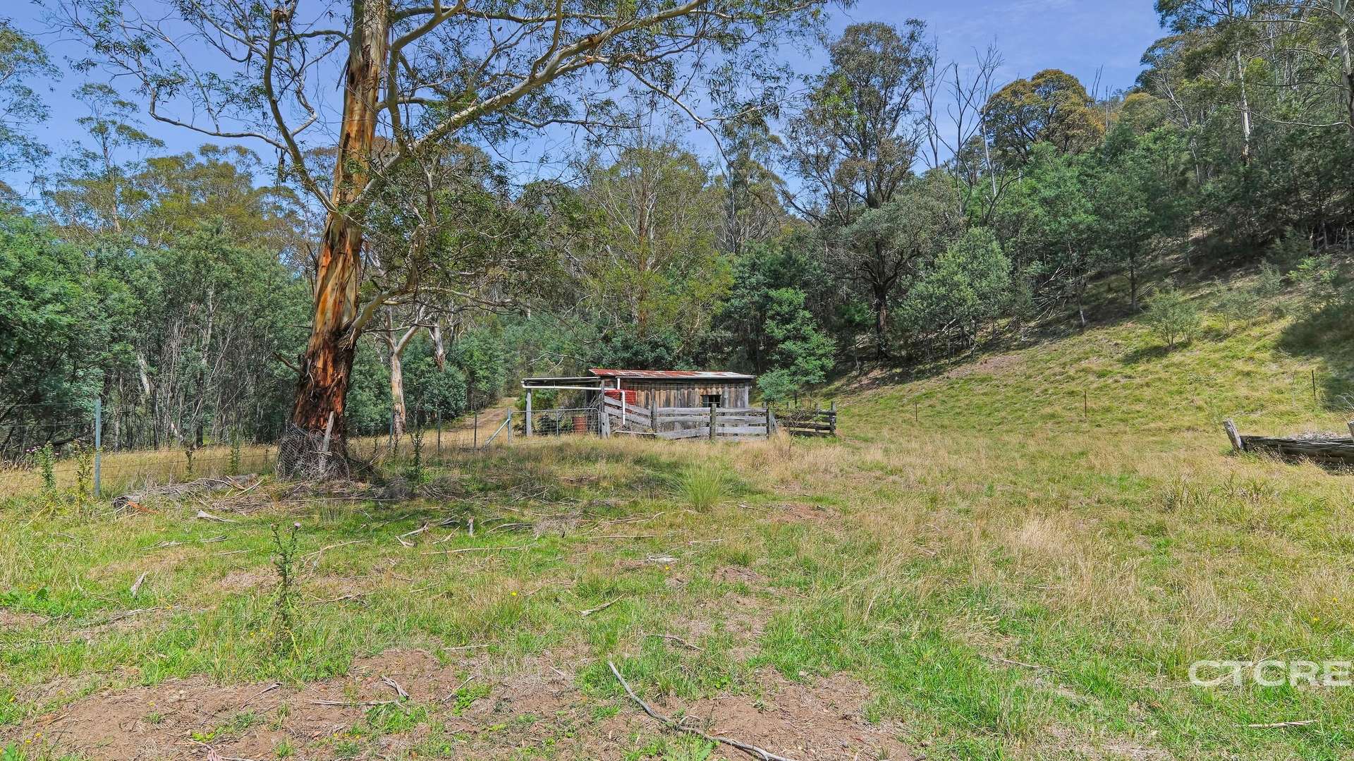 25 Warm Corners Track, Bonang Sold by Farmbuy.com - image 5
