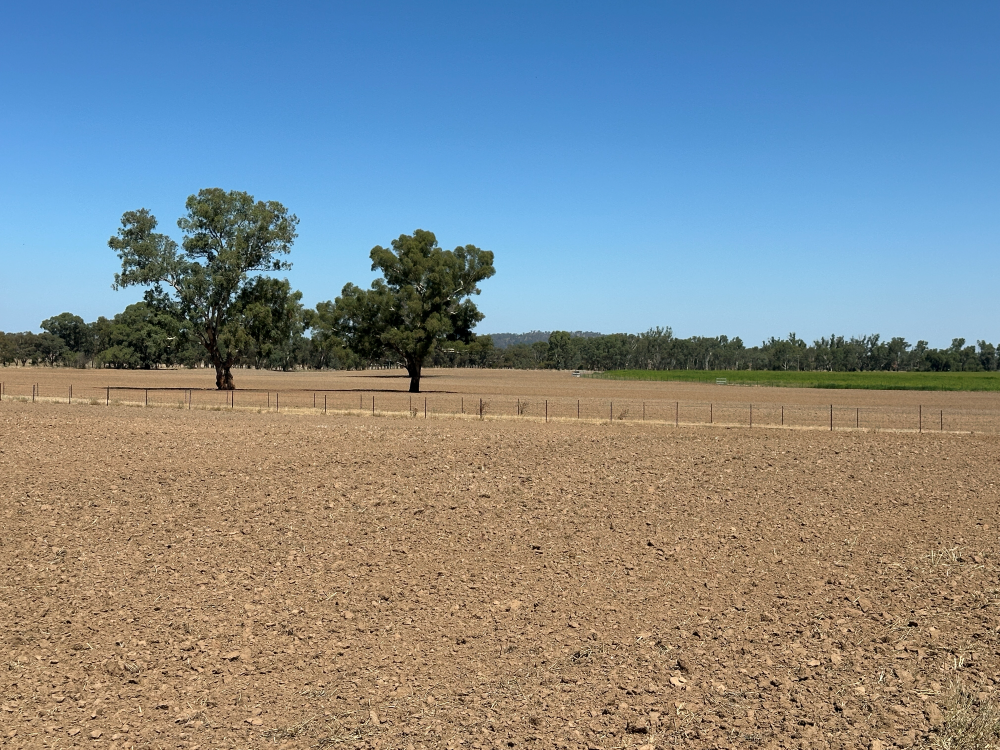 137 Fletchers Lane, Wagga Wagga For Sale by Farmbuy.com - image 2