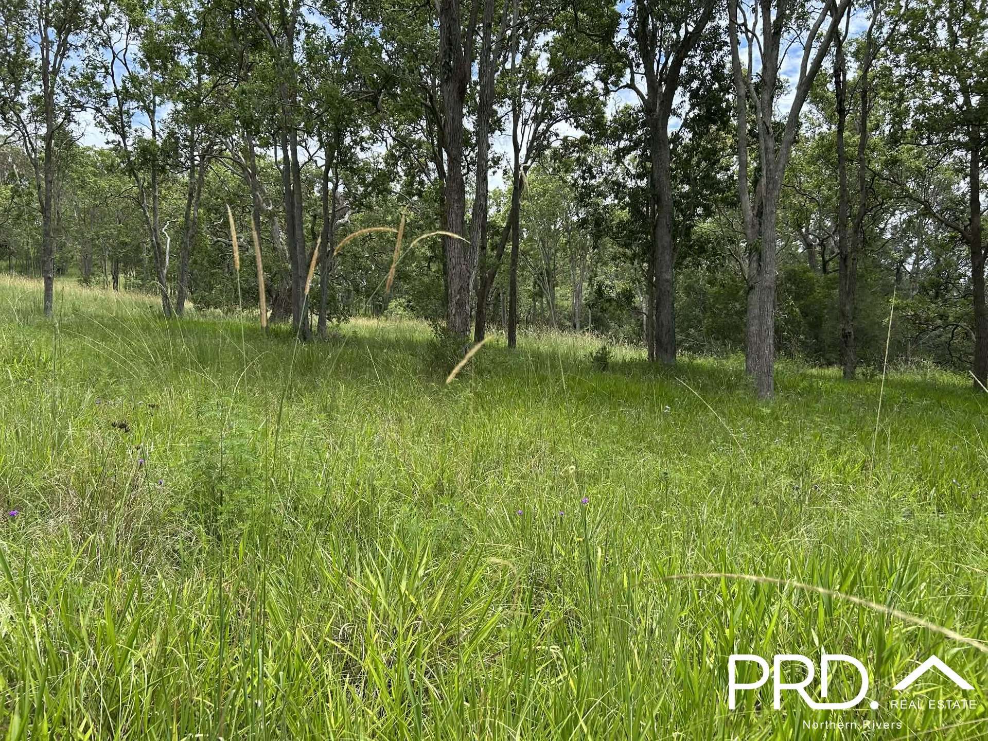 130 Homeleigh Road, Homeleigh For Sale by Farmbuy.com - image 10