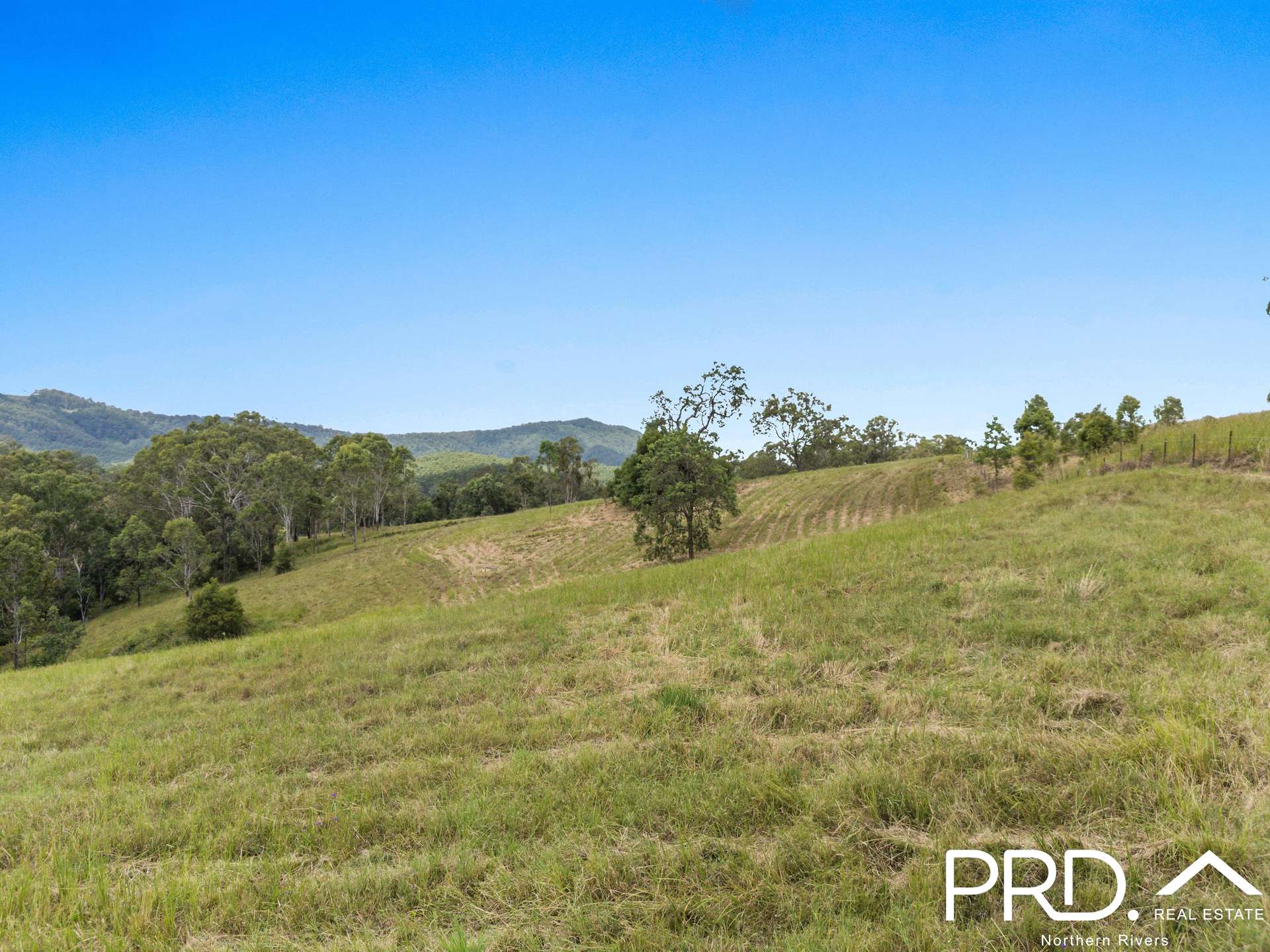130 Homeleigh Road, Homeleigh For Sale by Farmbuy.com - image 13