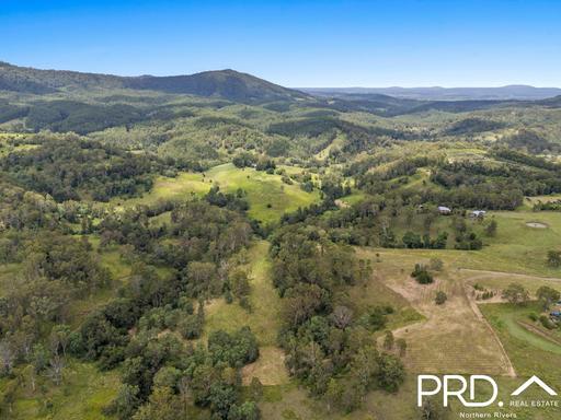 Farm For Sale - NSW - Homeleigh - 2474 - 12.5+ Acres with Creek 