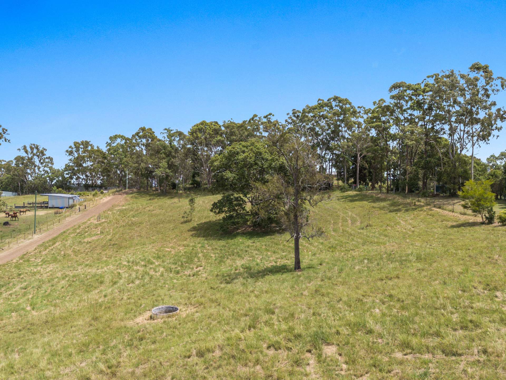 132 Homeleigh Road, Homeleigh For Sale by Farmbuy.com - image 5