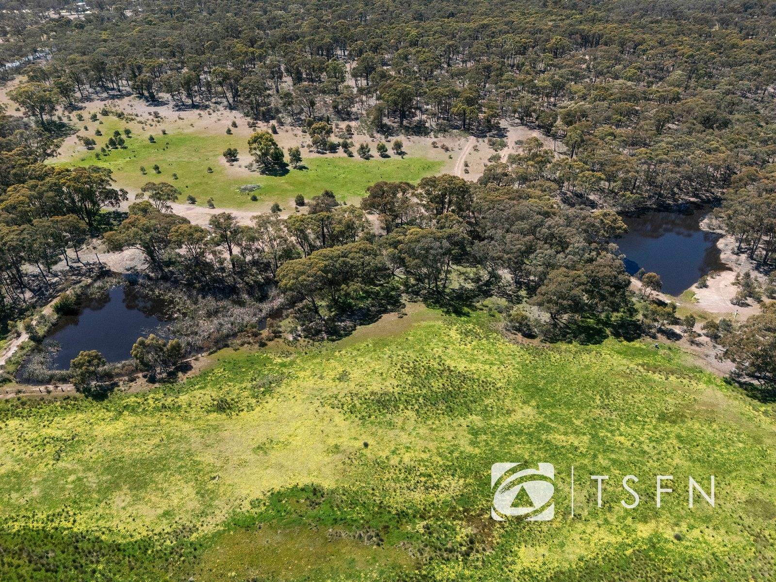 657 Crusoe Road, Lockwood For Sale by Farmbuy.com - image 19