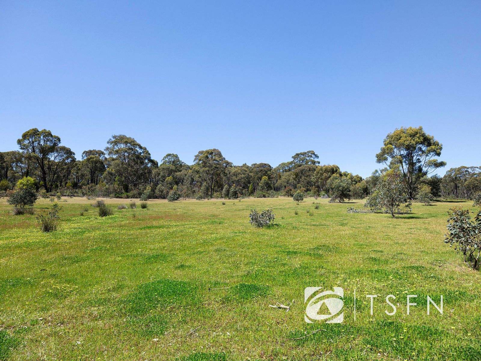 657 Crusoe Road, Lockwood For Sale by Farmbuy.com - image 20