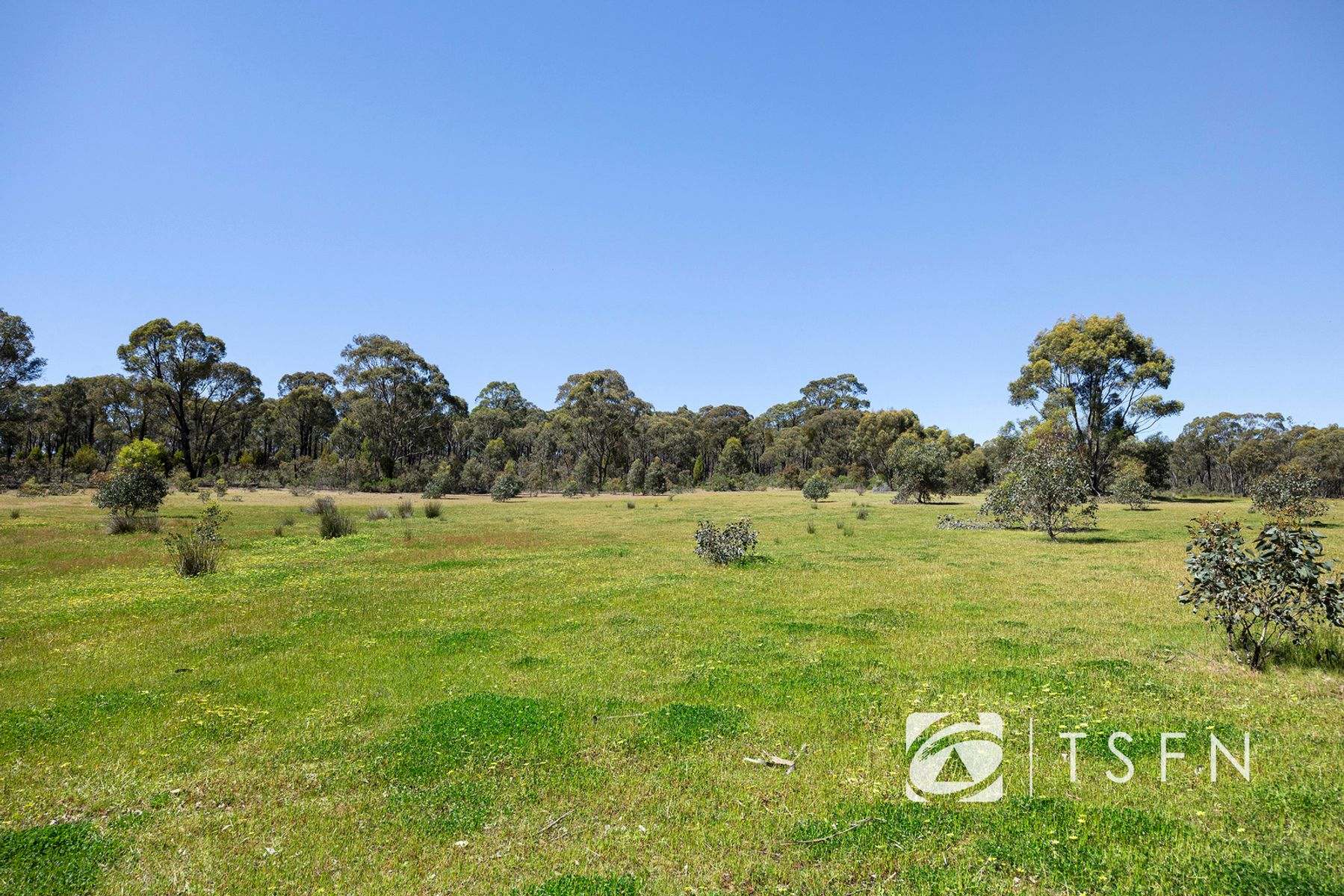 657 Crusoe Road, Lockwood For Sale by Farmbuy.com - image 16