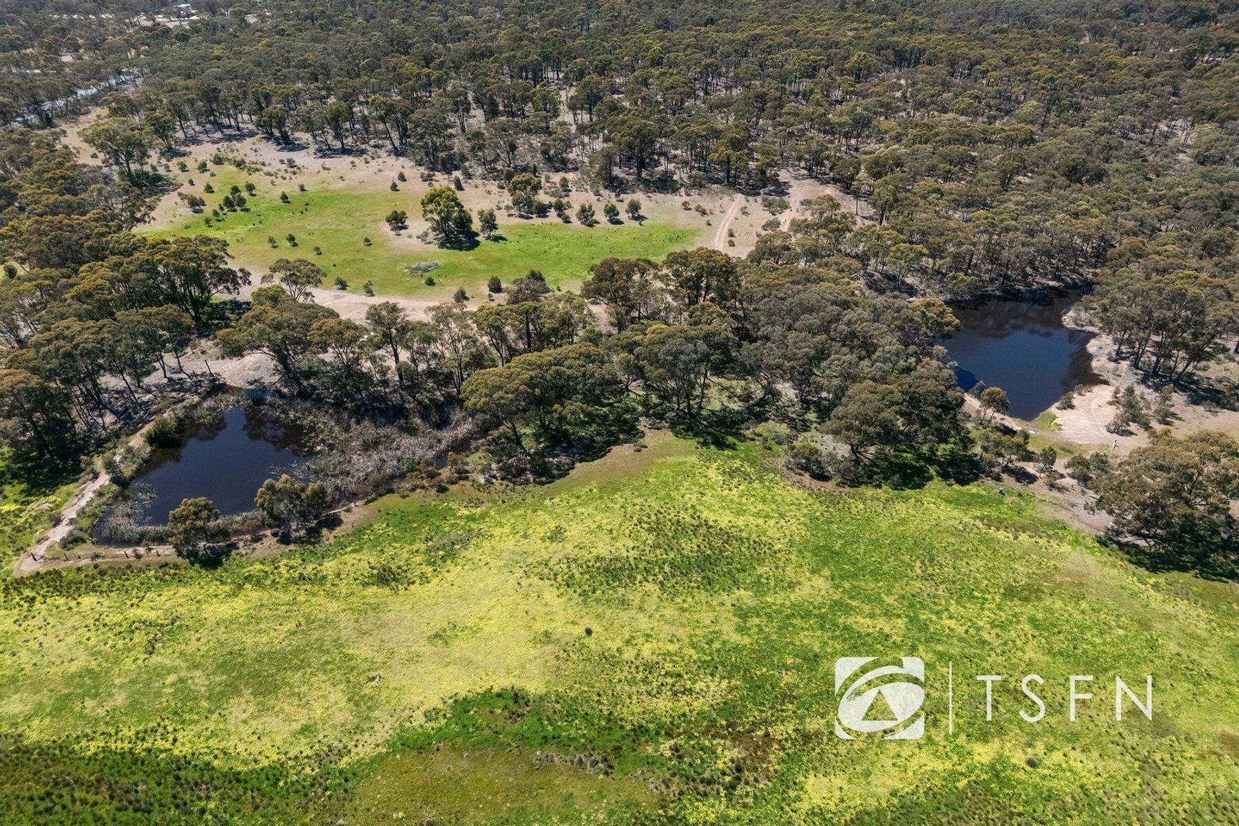 657 Crusoe Road, Lockwood For Sale by Farmbuy.com - image 15