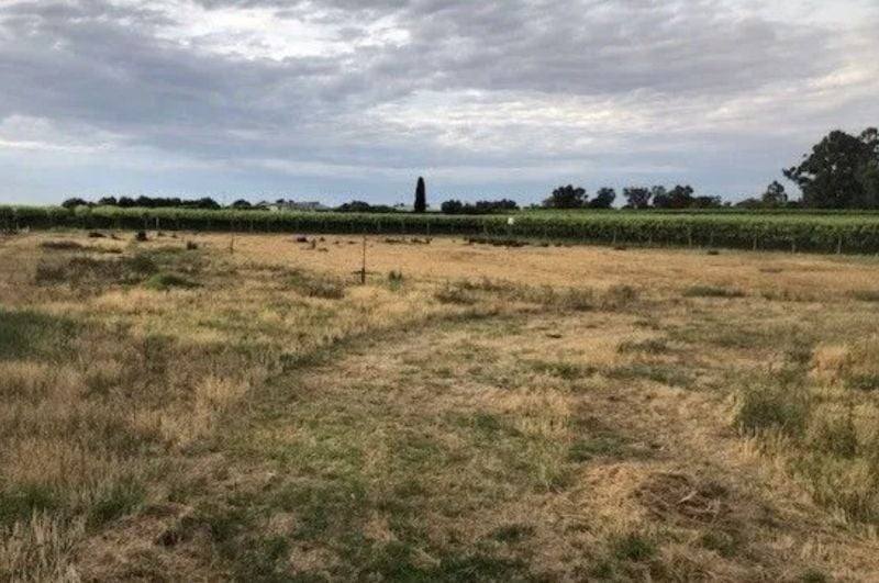 9260 Calder Highway, Irymple Sold by Farmbuy.com - image 3