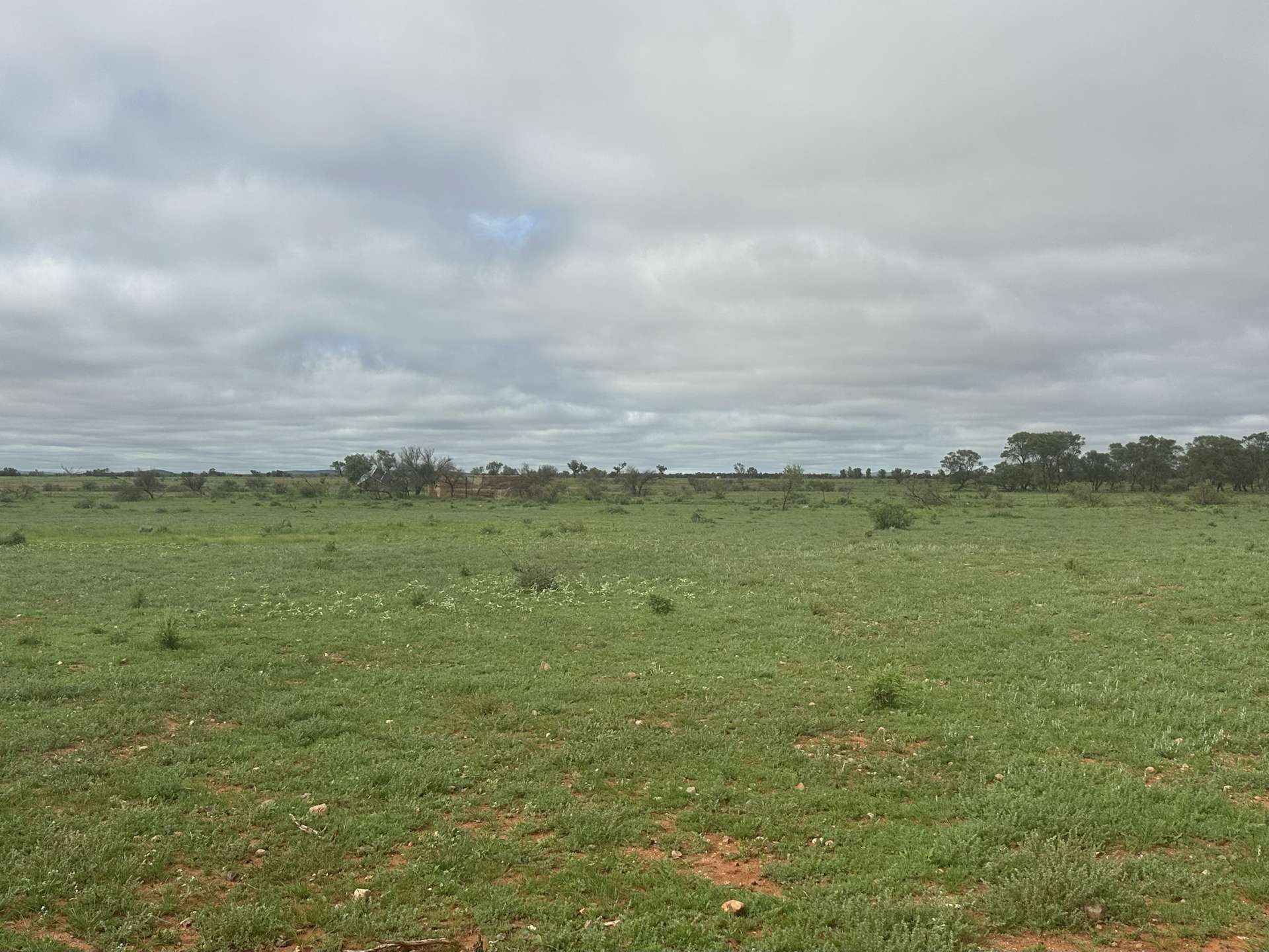 'Cavenagh' Orroroo-Paratoo Road, Cavenagh For Sale by Farmbuy.com - image 16