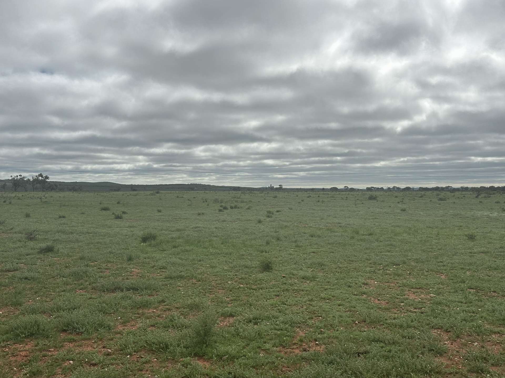 'Cavenagh' Orroroo-Paratoo Road, Cavenagh For Sale by Farmbuy.com - image 17