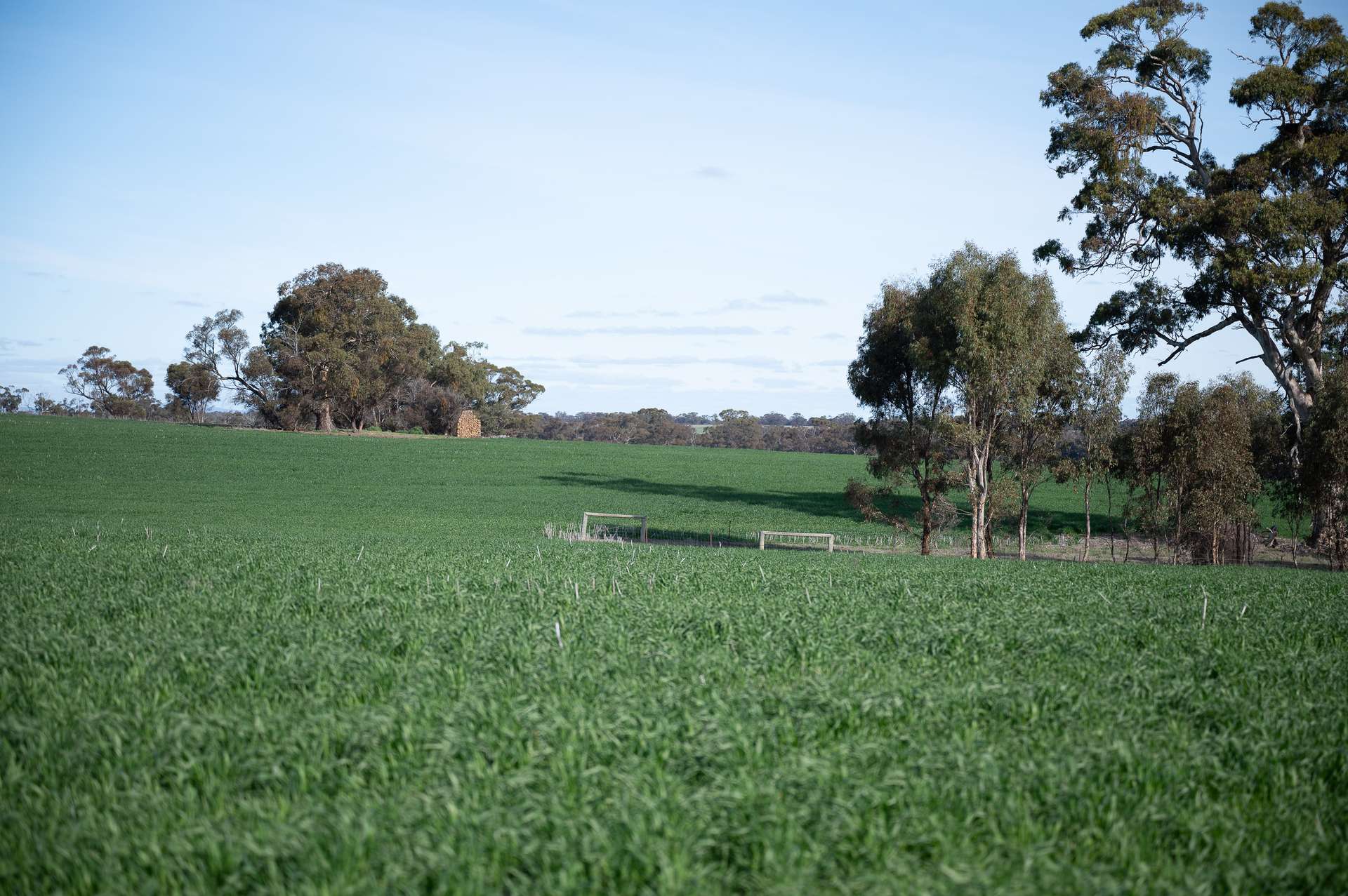 000 Lower Norton-Nurrabiel Road, Lower Norton For Sale by Farmbuy.com - image 6