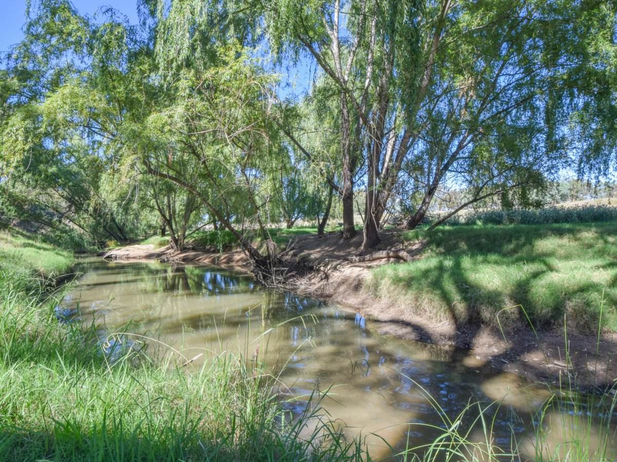 1089 Henry Lawson Way, Young Sold by Farmbuy.com - image 5