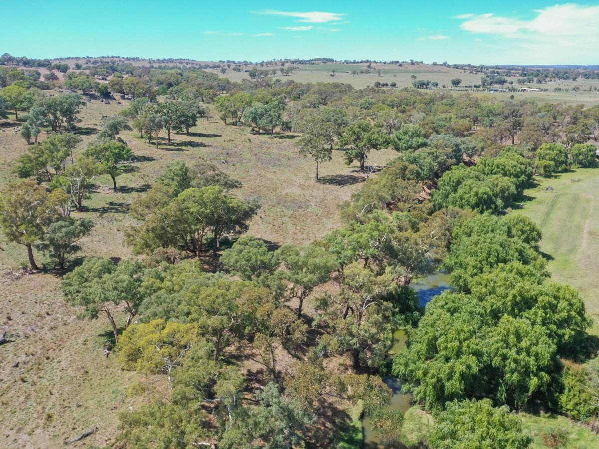1089 Henry Lawson Way, Young Sold by Farmbuy.com - image 2