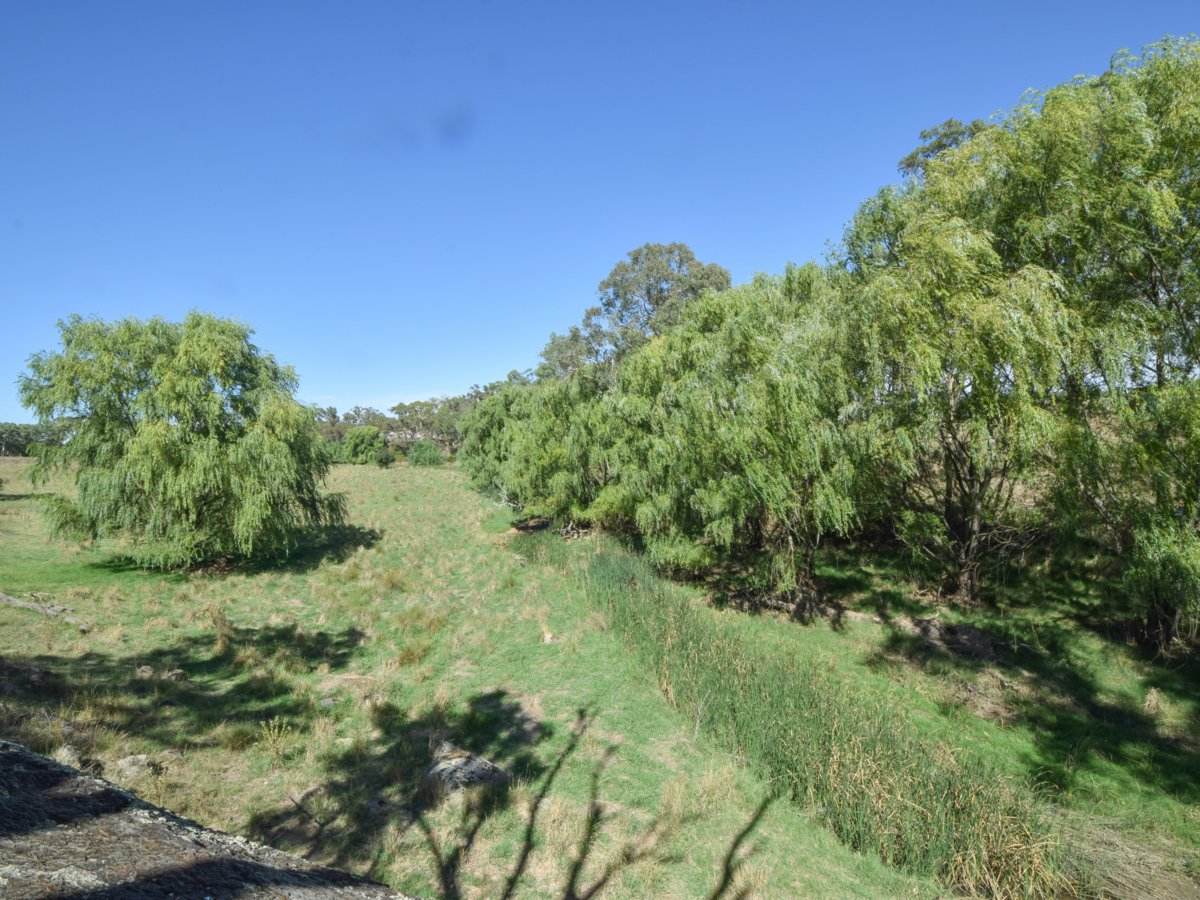 1089 Henry Lawson Way, Young Sold by Farmbuy.com - image 17