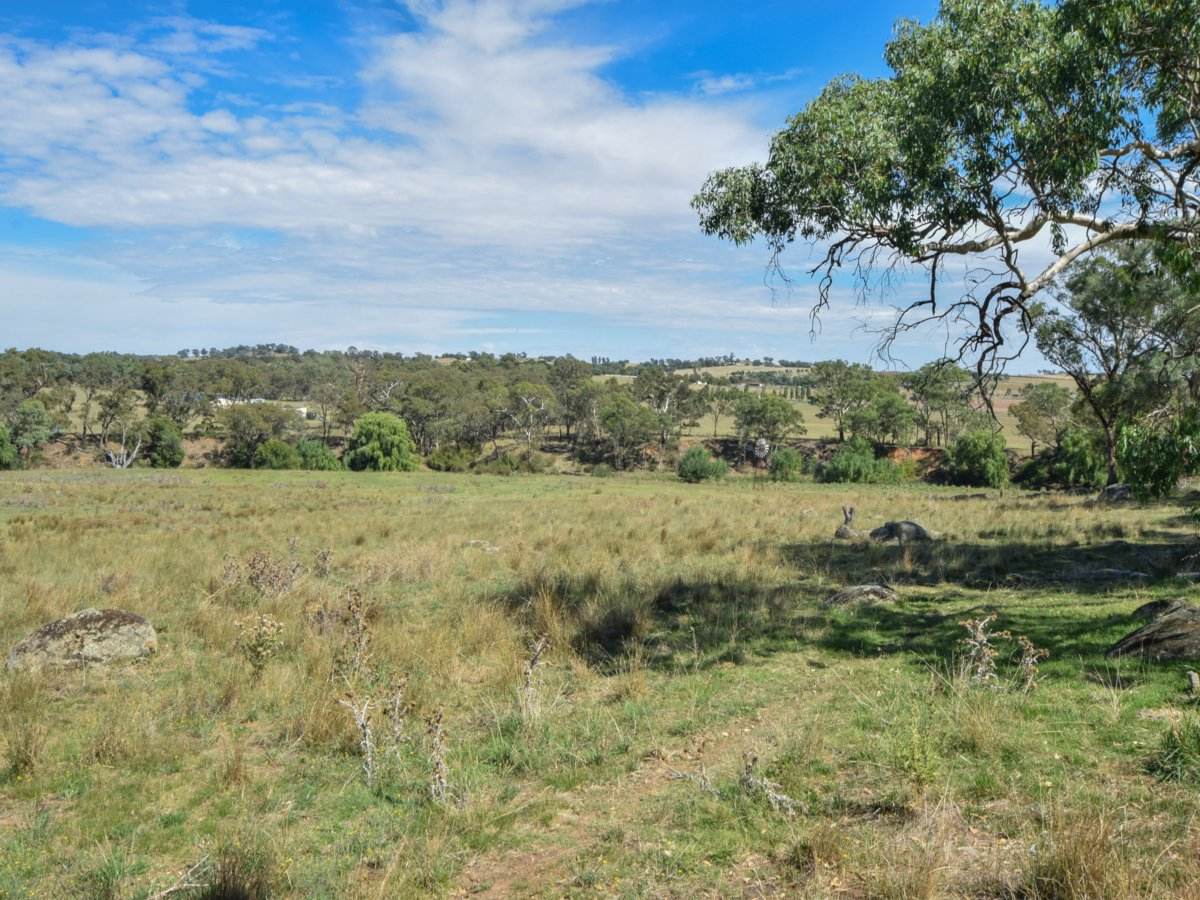 1089 Henry Lawson Way, Young Sold by Farmbuy.com - image 14