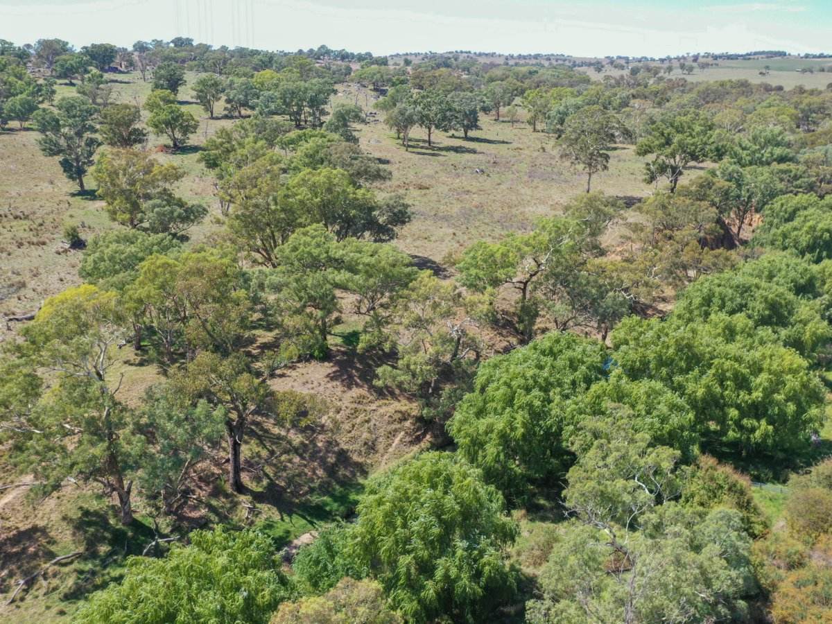 1089 Henry Lawson Way, Young Sold by Farmbuy.com - image 12