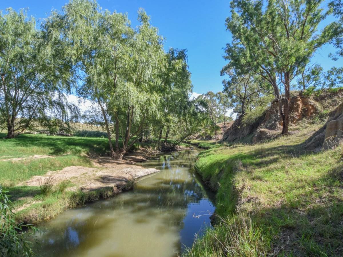 1089 Henry Lawson Way, Young Sold by Farmbuy.com - image 6