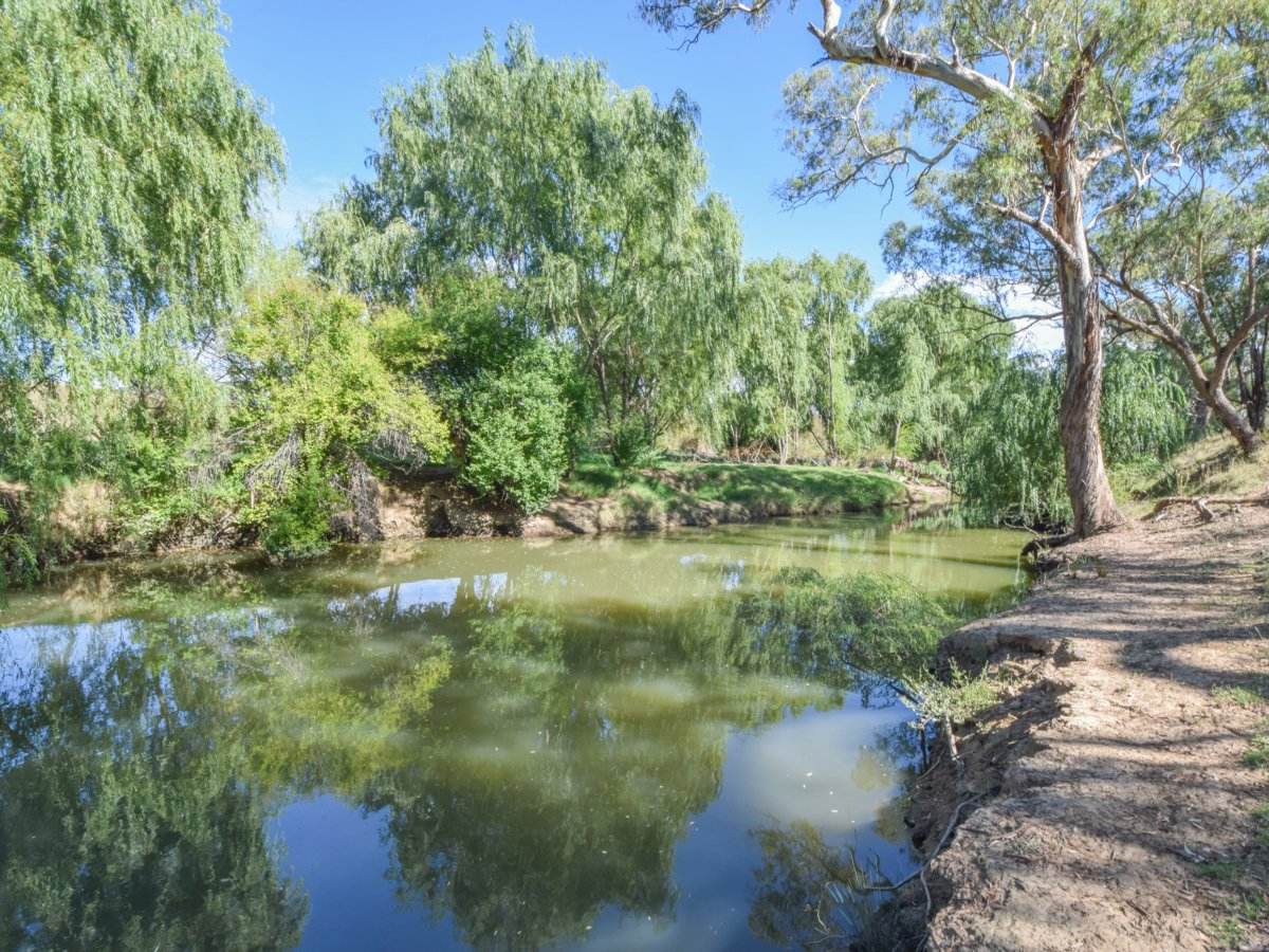 1089 Henry Lawson Way, Young Sold by Farmbuy.com - image 1