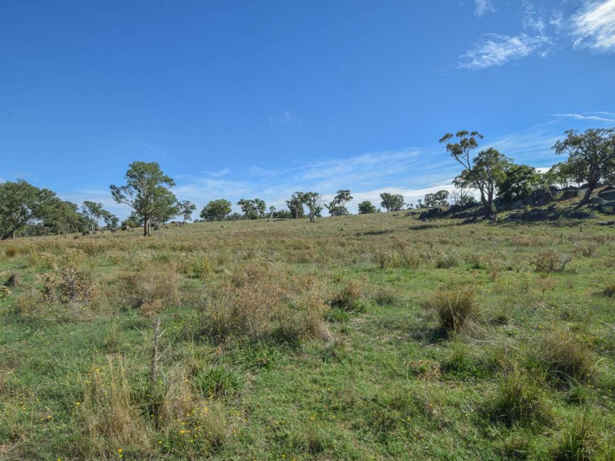 1089 Henry Lawson Way, Young Sold by Farmbuy.com - image 15