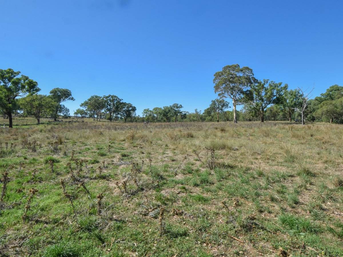 1089 Henry Lawson Way, Young Sold by Farmbuy.com - image 8