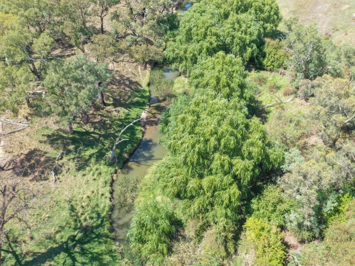 1089 Henry Lawson Way, Young Sold by Farmbuy.com - image 13