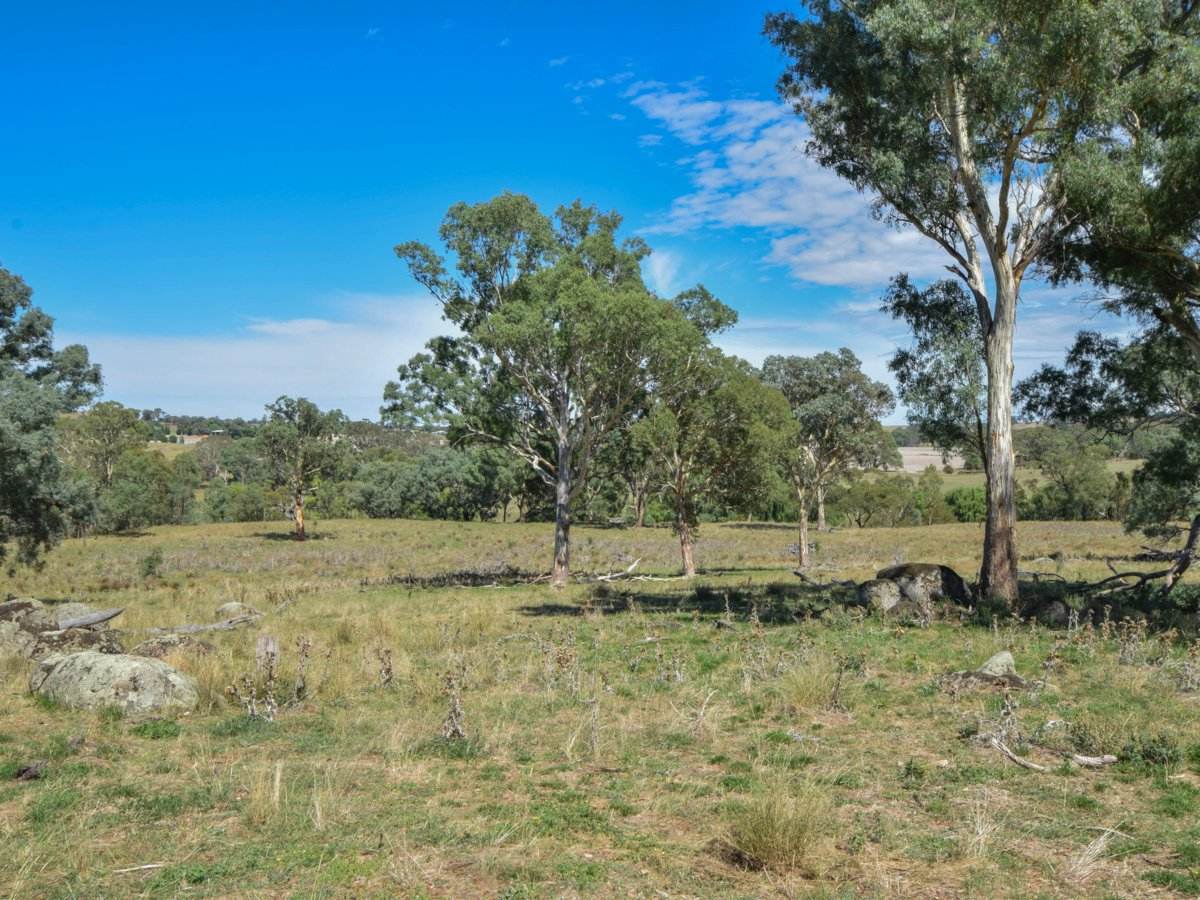 1089 Henry Lawson Way, Young Sold by Farmbuy.com - image 23