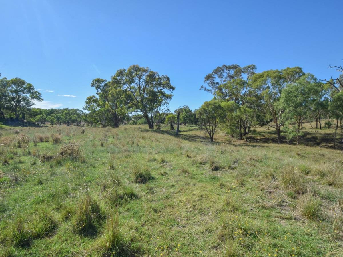 1089 Henry Lawson Way, Young Sold by Farmbuy.com - image 7