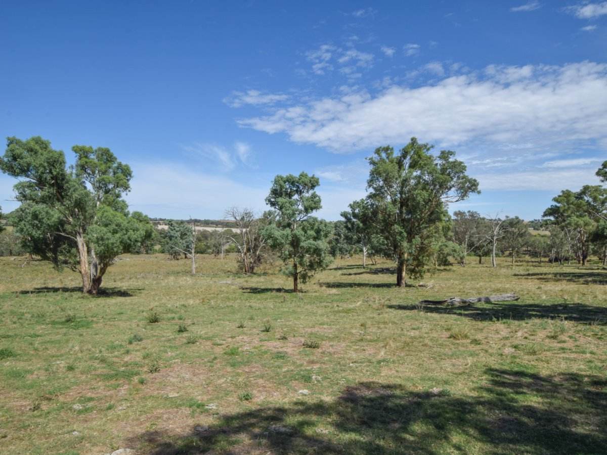 1089 Henry Lawson Way, Young Sold by Farmbuy.com - image 18