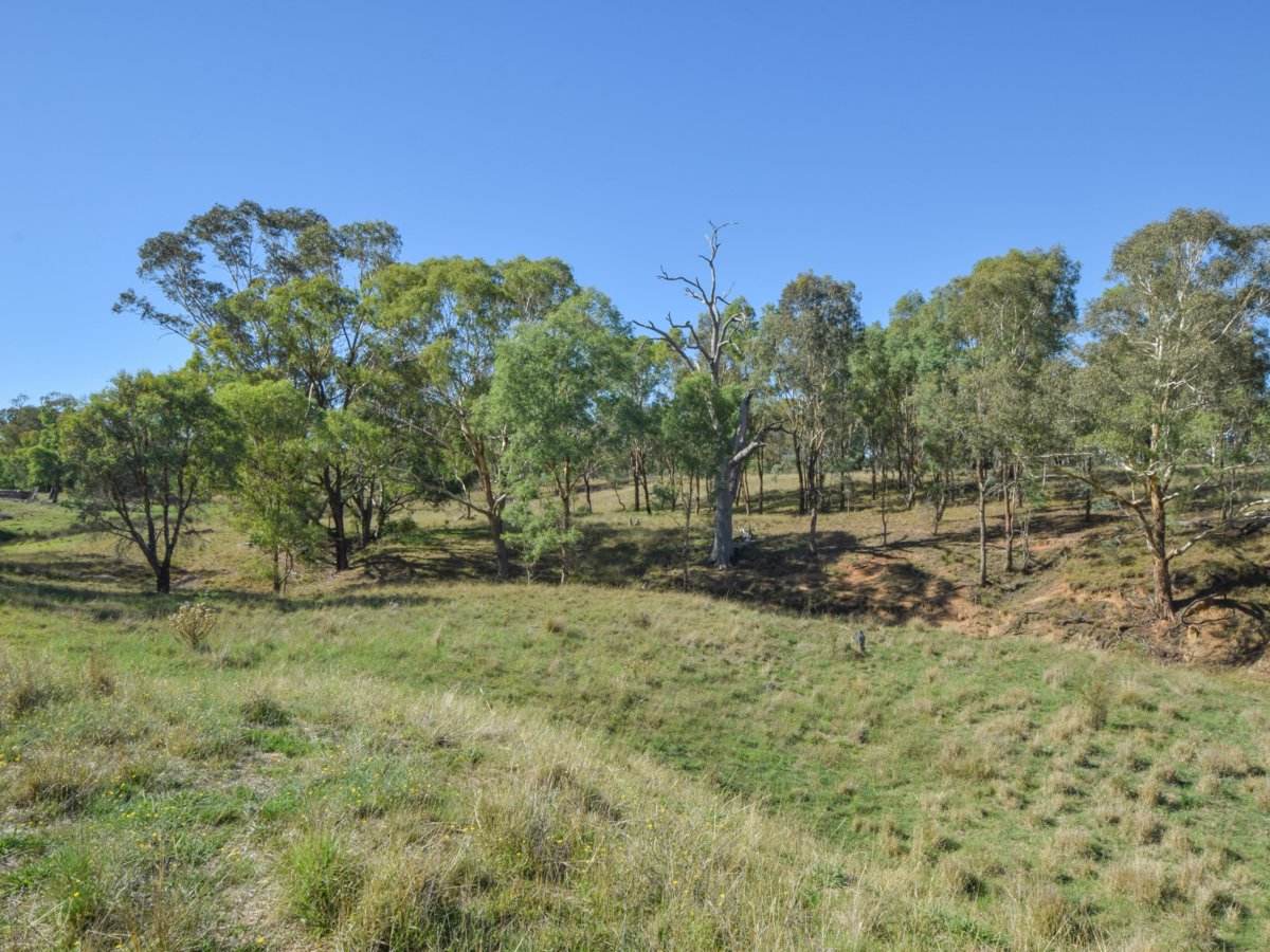 1089 Henry Lawson Way, Young Sold by Farmbuy.com - image 19