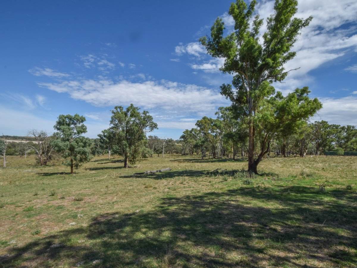 1089 Henry Lawson Way, Young Sold by Farmbuy.com - image 24