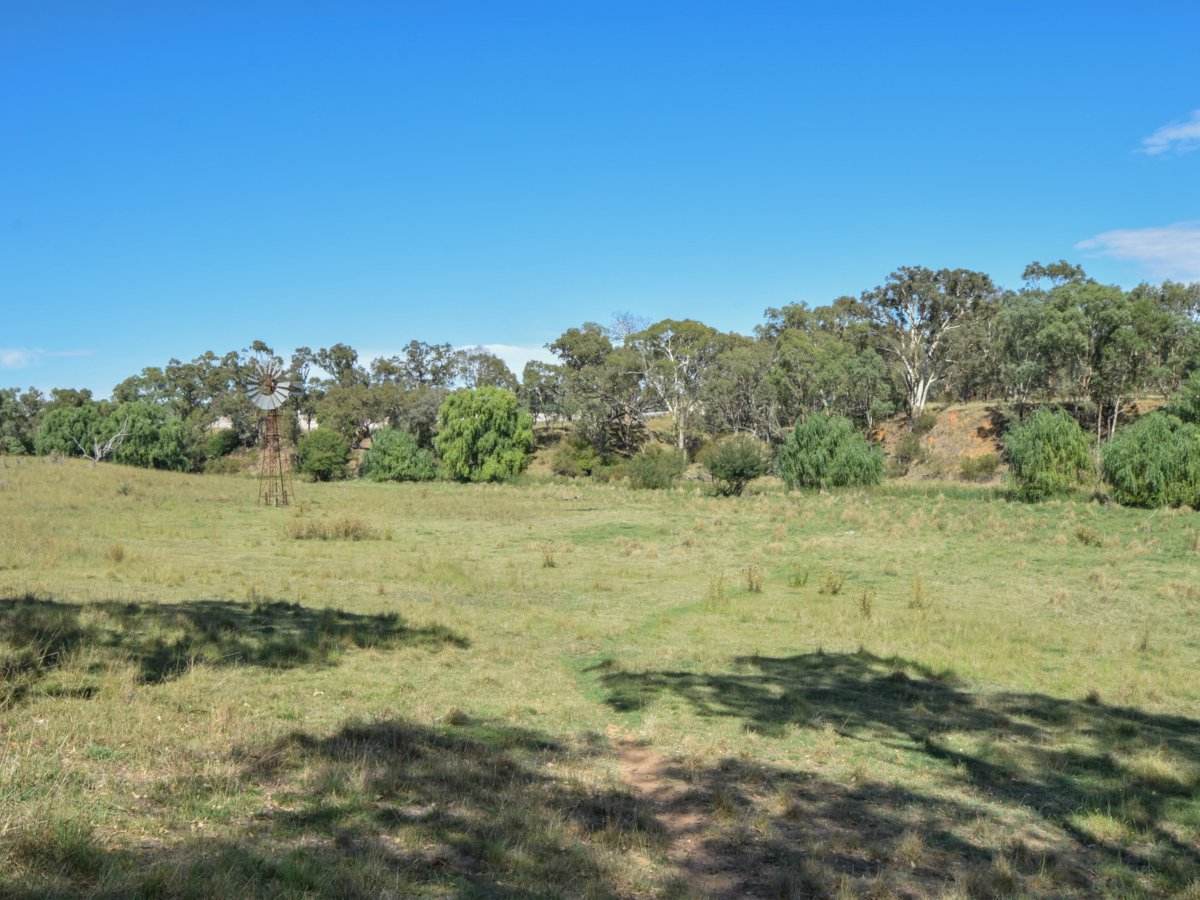 1089 Henry Lawson Way, Young Sold by Farmbuy.com - image 16