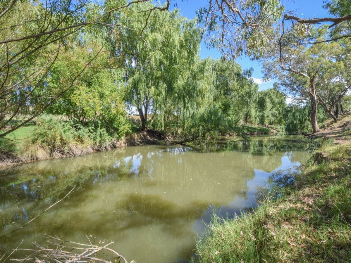 1089 Henry Lawson Way, Young Sold by Farmbuy.com - image 4