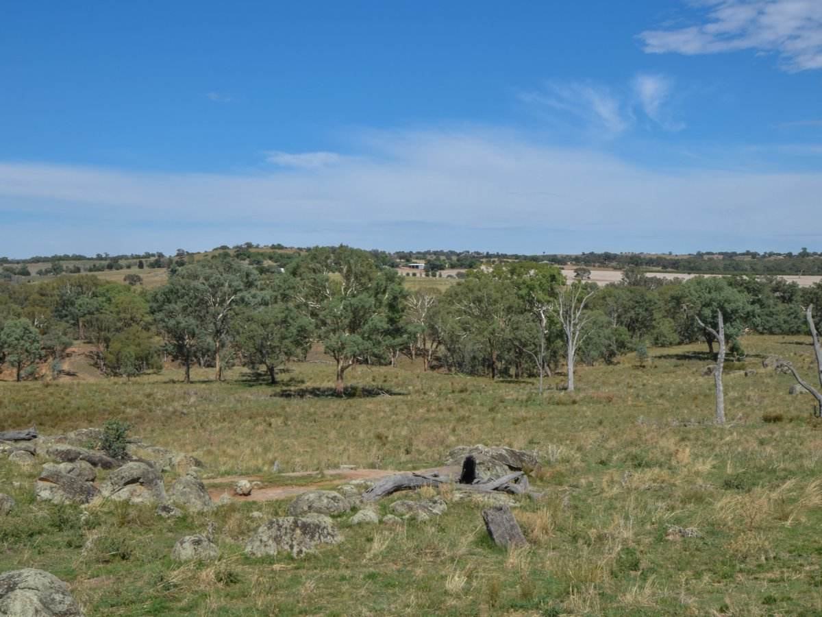 1089 Henry Lawson Way, Young Sold by Farmbuy.com - image 22