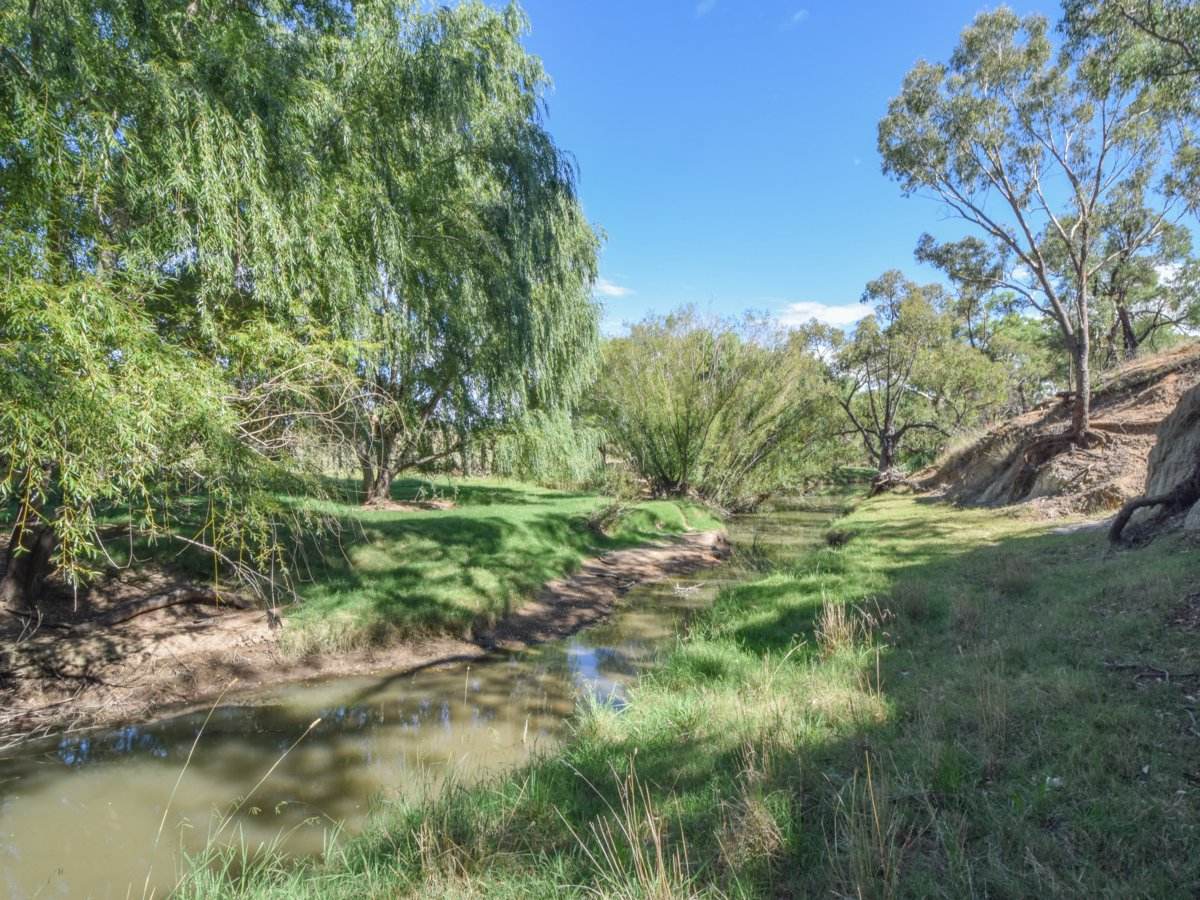 1089 Henry Lawson Way, Young Sold by Farmbuy.com - image 25