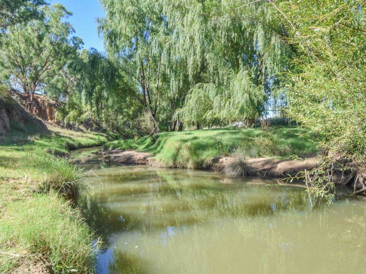 1089 Henry Lawson Way, Young Sold by Farmbuy.com - image 3