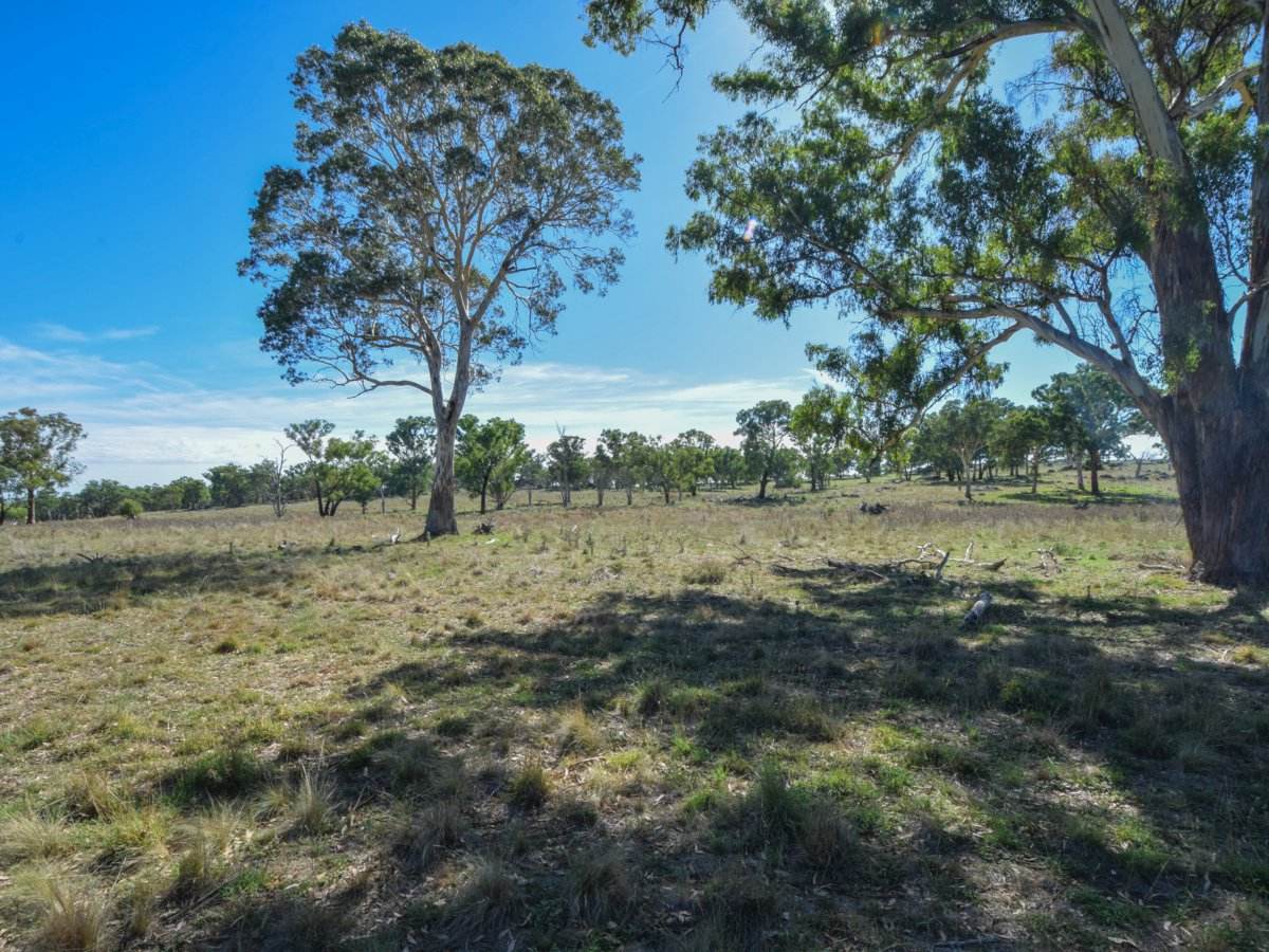 1089 Henry Lawson Way, Young Sold by Farmbuy.com - image 20