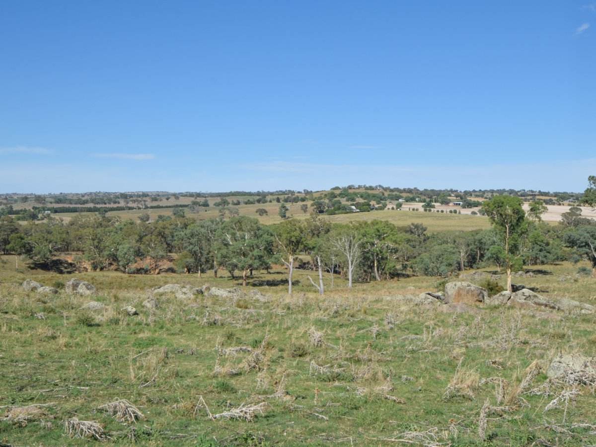1089 Henry Lawson Way, Young Sold by Farmbuy.com - image 10
