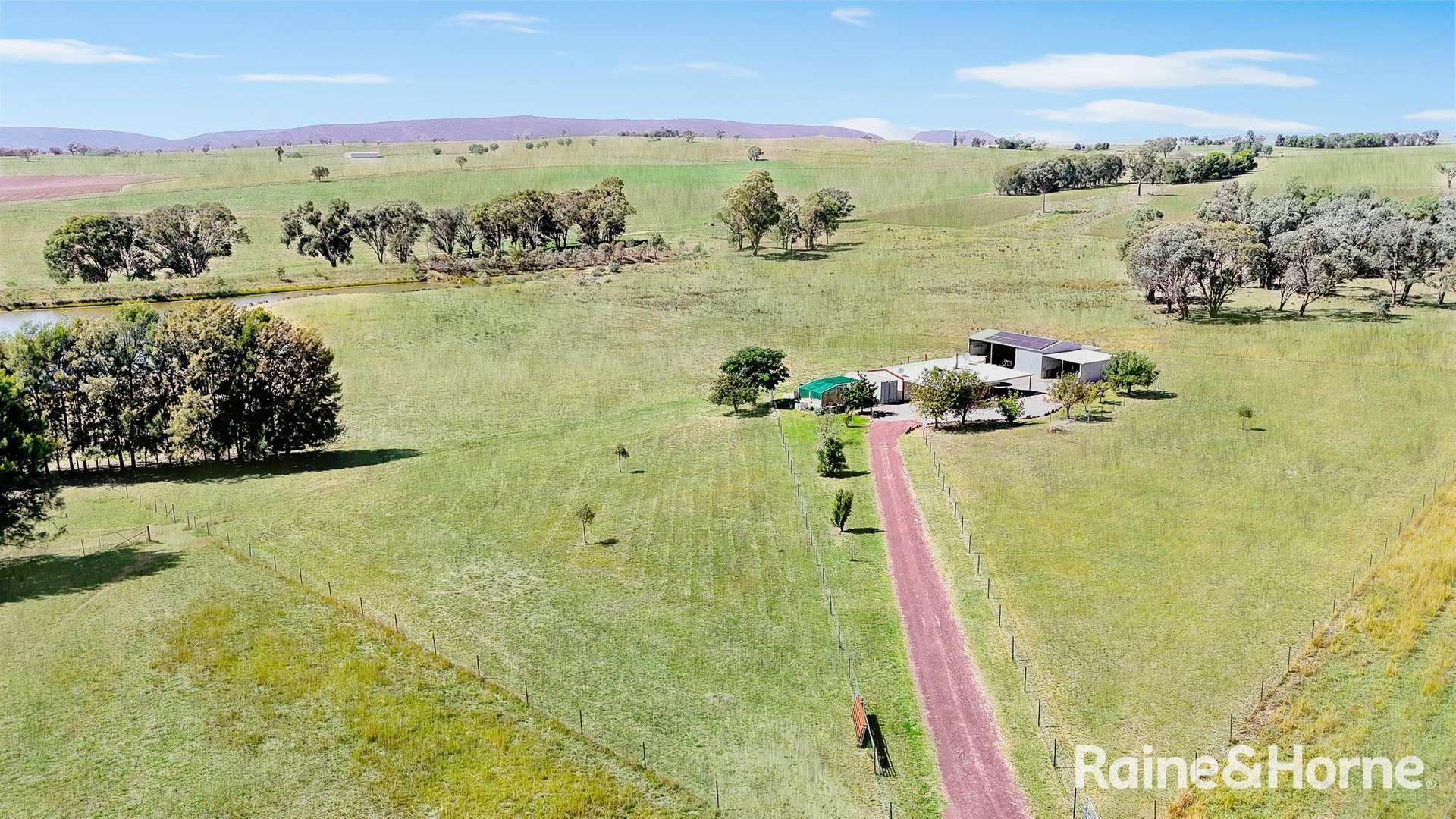 Young Sold by Farmbuy.com - image 10