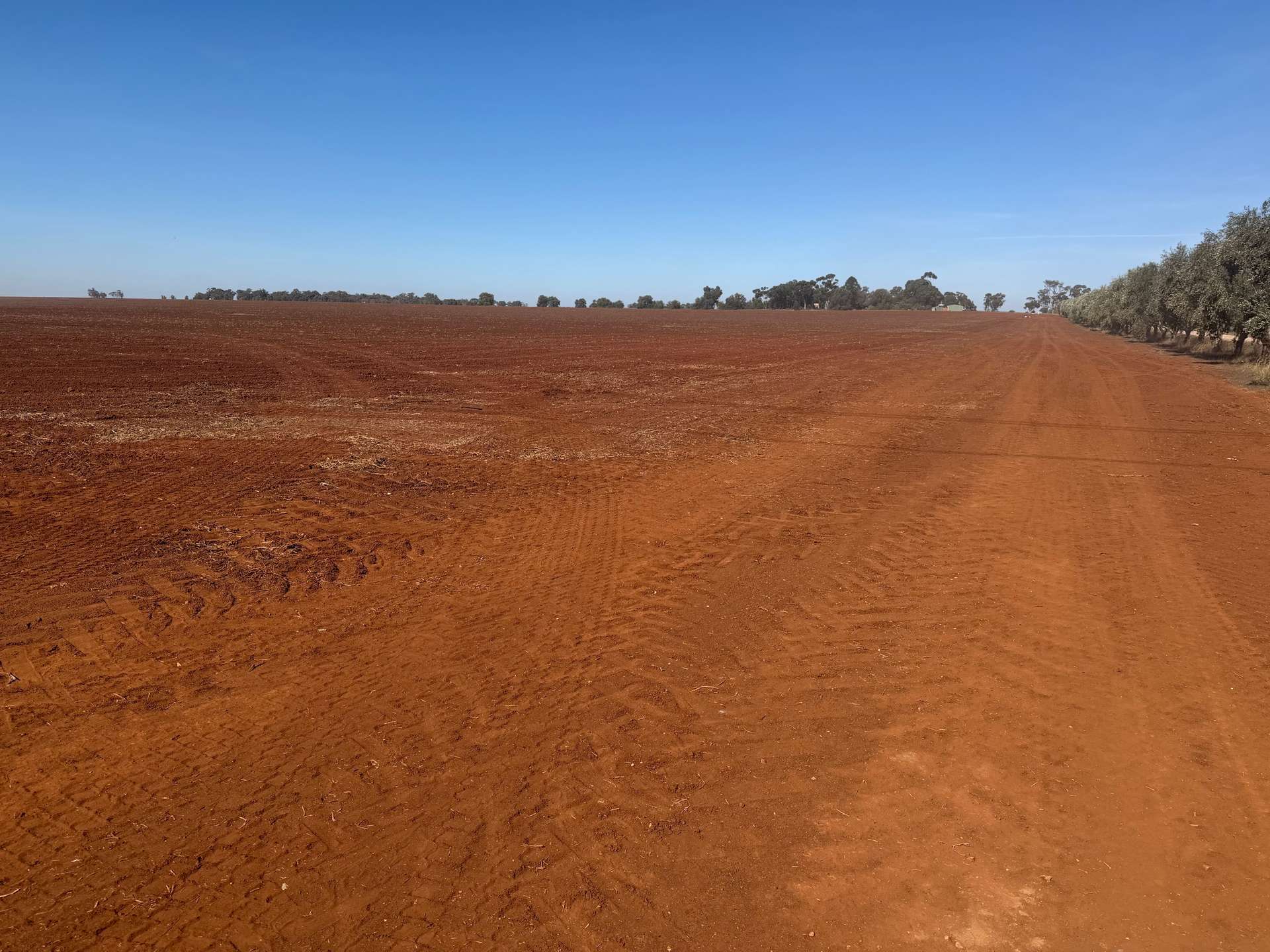Lot 2 PS445124Y Wilson Road, Nanneella For Sale by Farmbuy.com - image 2