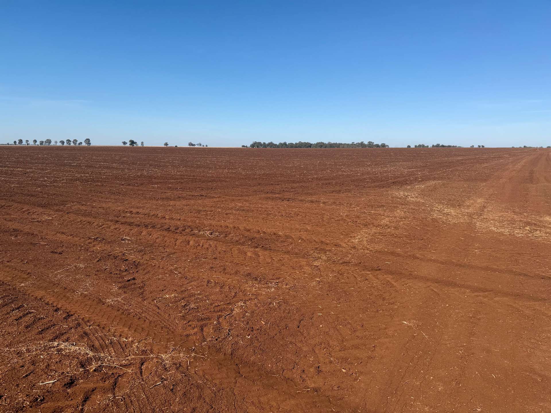 Lot 2 PS445124Y Wilson Road, Nanneella For Sale by Farmbuy.com - image 4