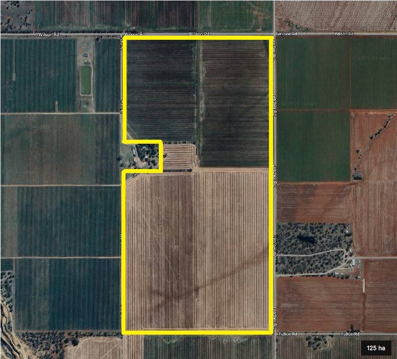 Lot 2 PS445124Y Wilson Road, Nanneella For Sale by Farmbuy.com - image 5