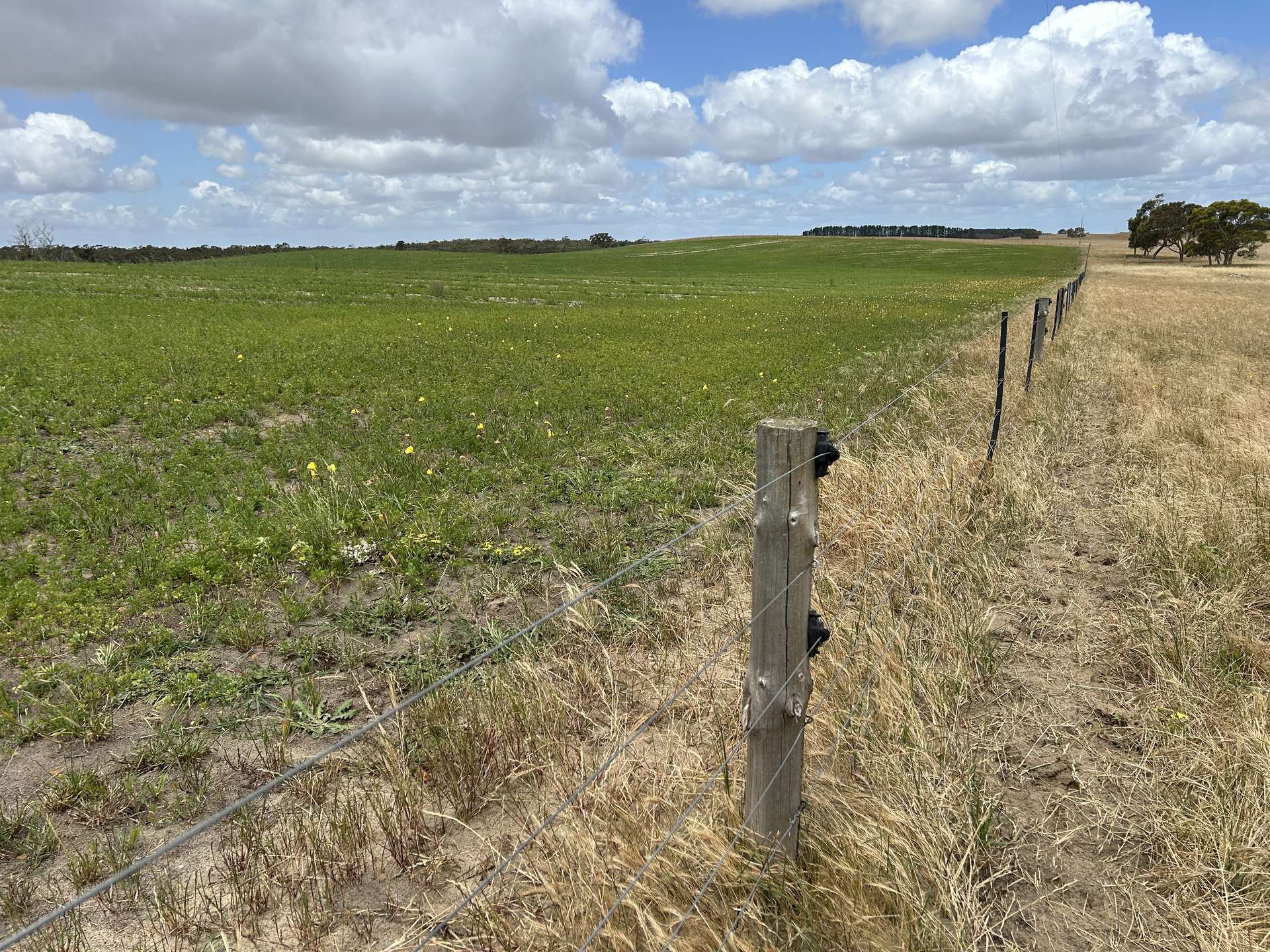Lot 189 And 323 Roy Lawries Road, Lochaber For Sale by Farmbuy.com - image 13